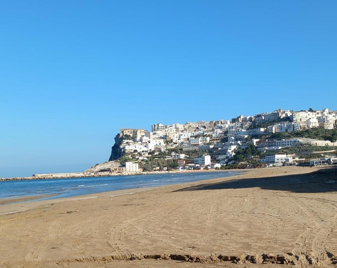 La Casa Al Mare *