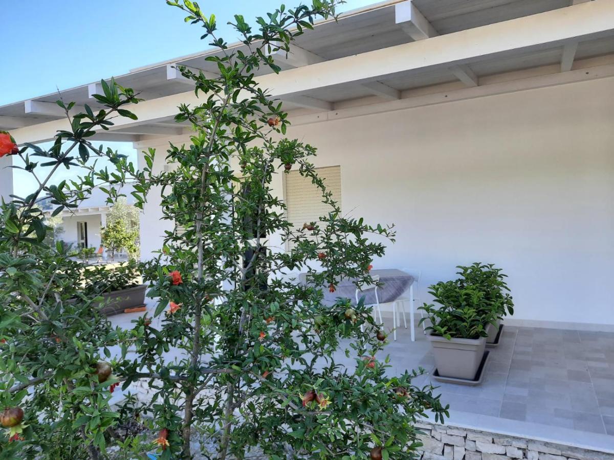 Holiday home La Casa Al Mare